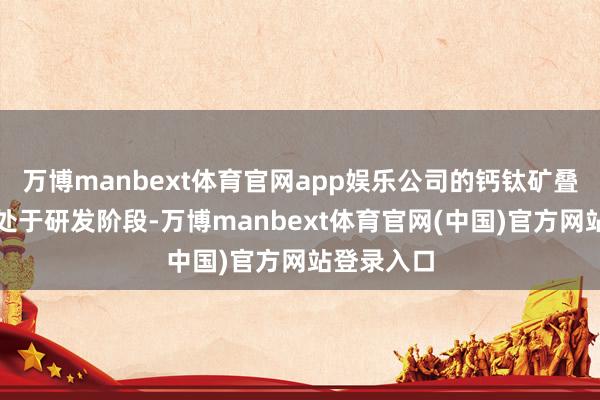 万博manbext体育官网app娱乐公司的钙钛矿叠层居品正处于研发阶段-万博manbext体育官网(中国)官方网站登录入口