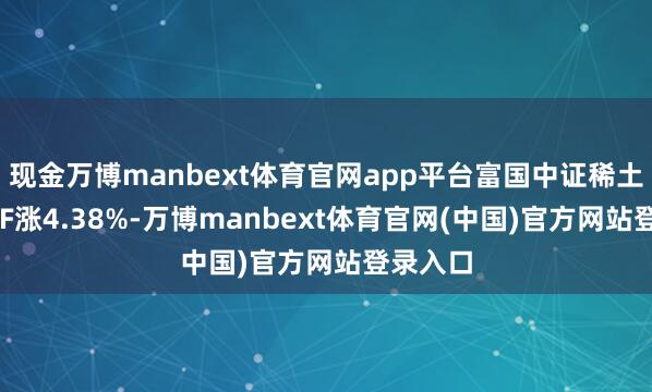 现金万博manbext体育官网app平台富国中证稀土产业ETF涨4.38%-万博manbext体育官网(中国)官方网站登录入口
