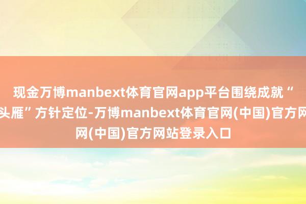 现金万博manbext体育官网app平台围绕成就“内陆敞开领头雁”方针定位-万博manbext体育官网(中国)官方网站登录入口