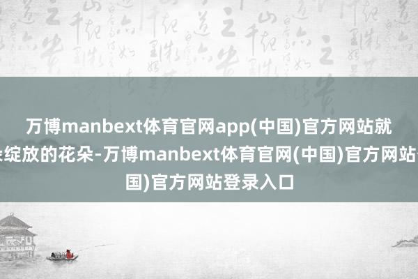 万博manbext体育官网app(中国)官方网站就如消亡朵绽放的花朵-万博manbext体育官网(中国)官方网站登录入口