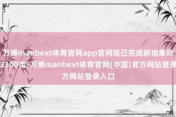 万博manbext体育官网app官网现已完成耕地集结整治3300亩-万博manbext体育官网(中国)官方网站登录入口