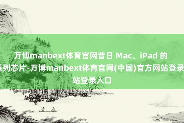 万博manbext体育官网昔日 Mac、iPad 的 M 系列芯片-万博manbext体育官网(中国)官方网站登录入口